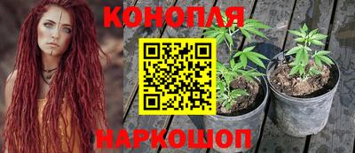 гашик Ипатово