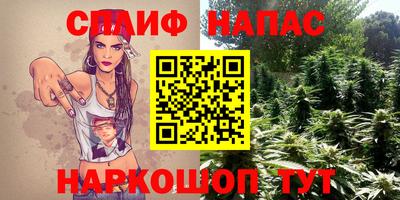 гашик Ипатово